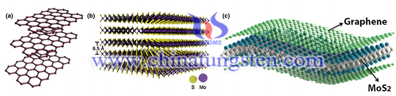 Graphene and molybdenum disulfide hybrids image