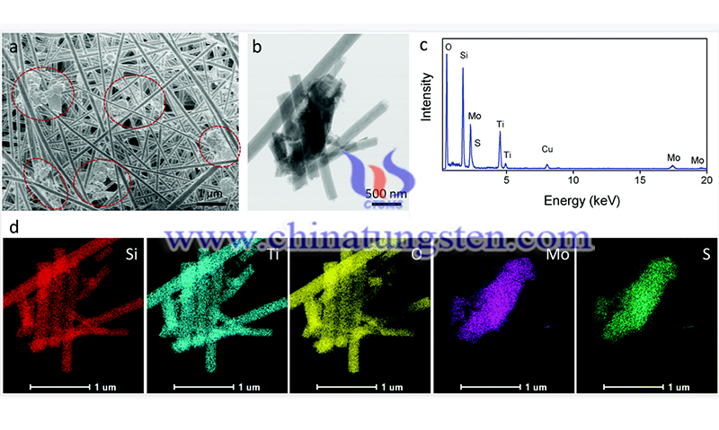 TiO2-MoS2 composite nanofibrous membranes image