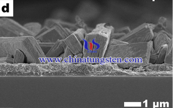 Surface SEM images of WO3 thin films