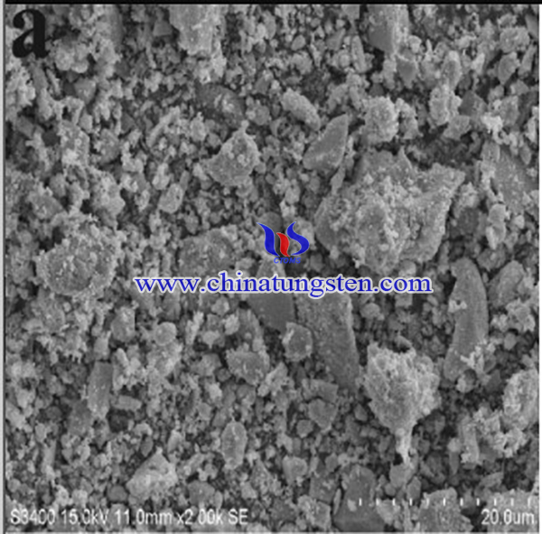 SEM image of the prepared composite