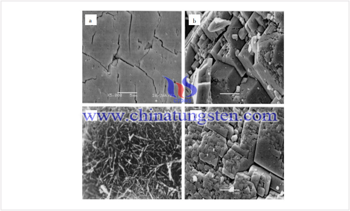 几种氧化钨团粒的扫描电镜高倍照片