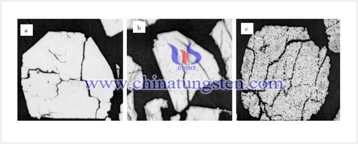 几种氧化钨团粒的剖面扫描电镜照片×1000