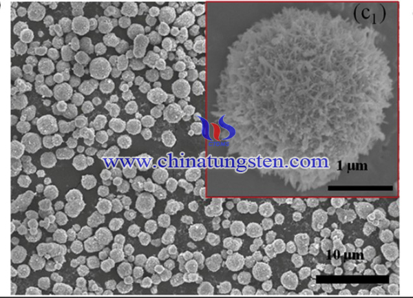 SEM images of h-WO3