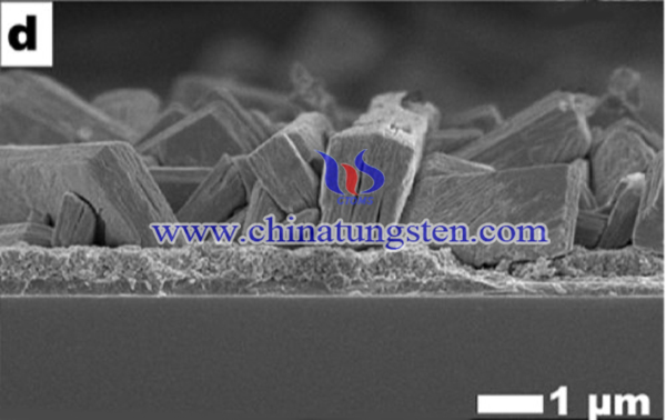 Surface SEM images of WO3 thin films