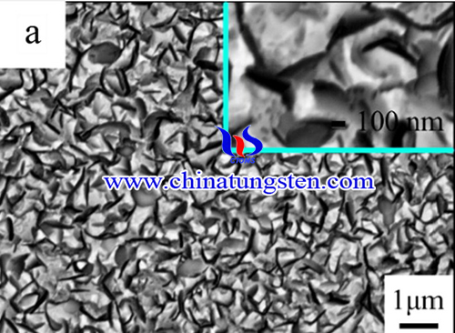 SEM image of NiO-WO3 films