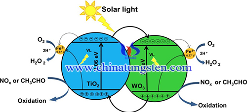 Image of the  photocatalytic system