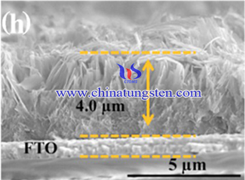 FESEM image of tungsten oxide film