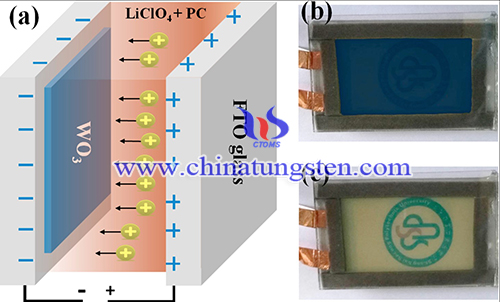 Image of the as-prepared EC device