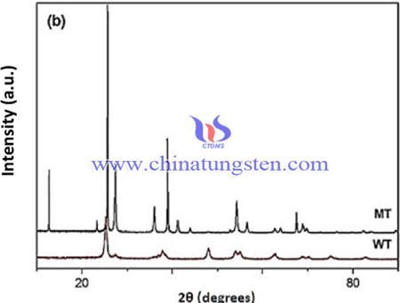 Image of X-ray diffraction patterns of the WT catalysts