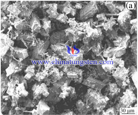 SEM image of Cr-doped APT powder