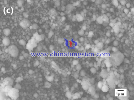 SEM image of the prepared Vanadium doped tungsten powder