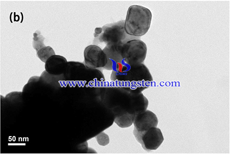 TEM image of  W-Y2O3 composite powder