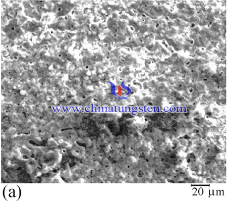 SEM image of the coating