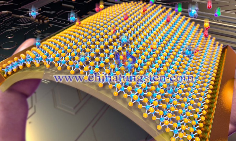 A flexible MoS2 field effect transistor image