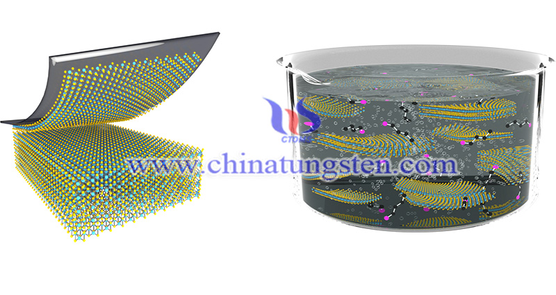 Molybdenum Disulfide for In-Situ Gelling System