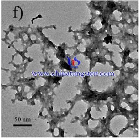 TEM image of POM-based catalysts