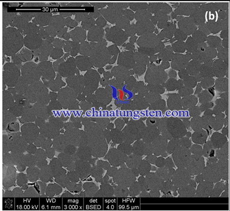 SEM microphotographs of BaCe0.9Y0.1O3-BaWO4 composites