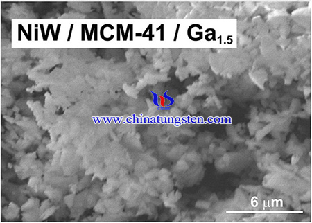 SEM image of the synthesized catalyst