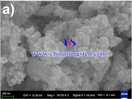 FESEM image of the WO3 catalyst