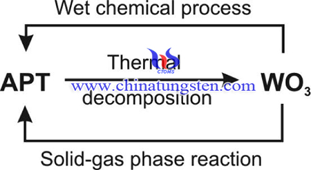 image of scheme of the digestion experiment