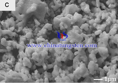 SEM image of KLW powders