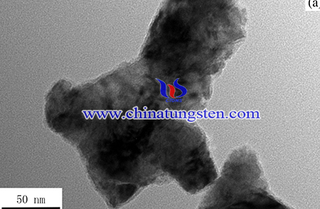 TEM image of the carbon-coated WO3