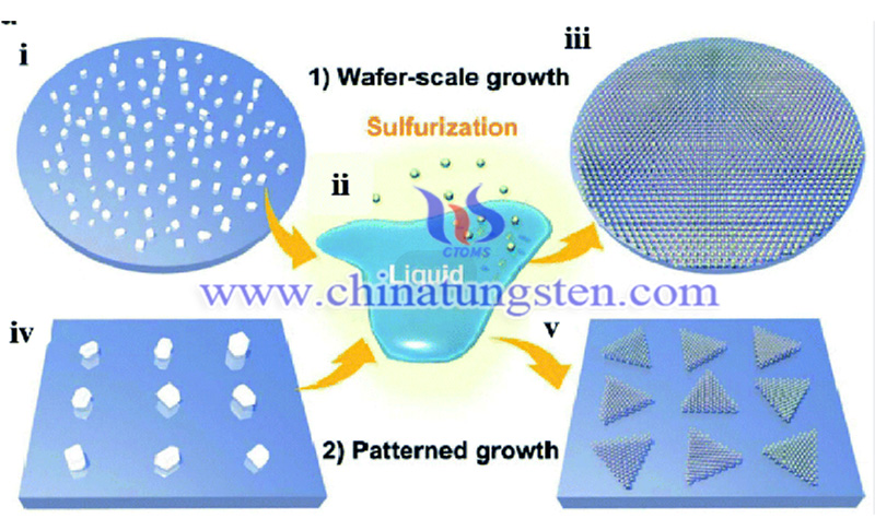 Wafer-Level MoS2 for Integrated Storage and Computing