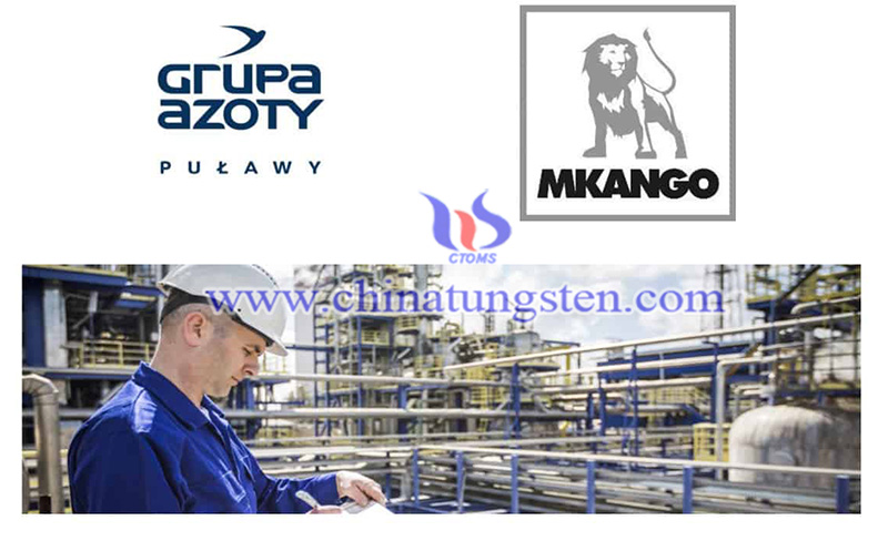 Mkango Partners Grupa to Build Rare Earths Hub in Poland