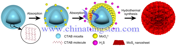 微绒球结构增强MoS2光催化性能图片