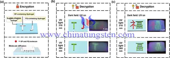 稀土功能化水凝胶薄膜实现信息加密解密和解码图片