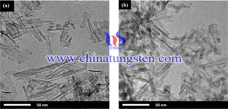 TEM image of WO3-TNT