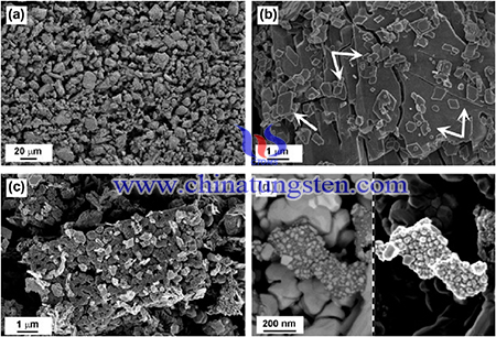 SEM image of as-prepared composites