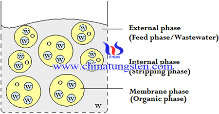 image of Emulsion liquid membrane