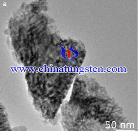 SEM image of as-prepared powder