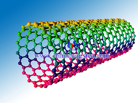 image of single-walled carbon nanotubes