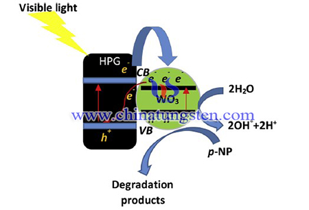 image of photodegradation mechanism