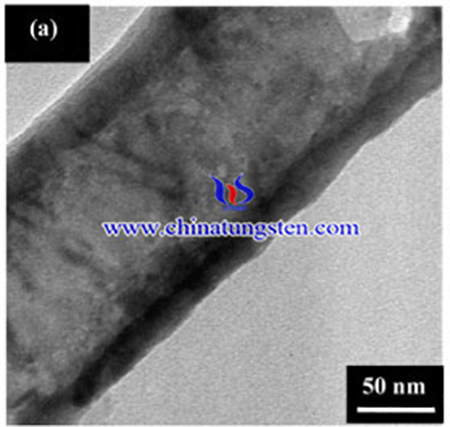 image of TiO2-WO3 photoelectrodes