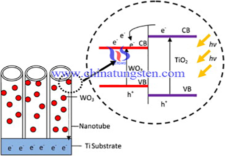 Image of working of TiO2-WO3 photoelectrode