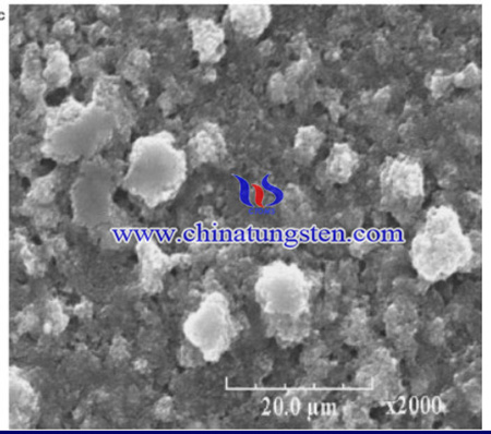 SEM image of WO3-TiO2 powder