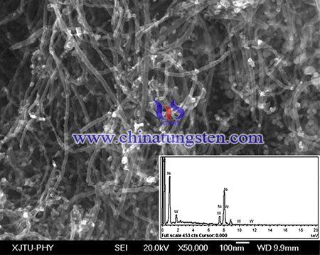 SEM and EDS images of the Ni-WC-MWCNT catalyst