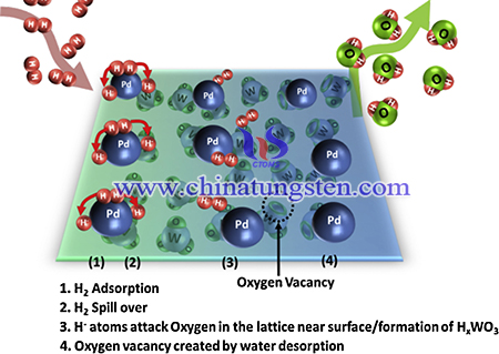 image of  mechanism of interaction of hydrogen gas with WO3–Pd