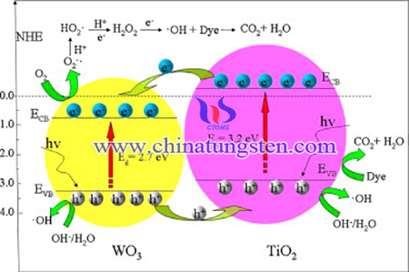 image of  mechanism of dyes degradation by WO3-TiO2