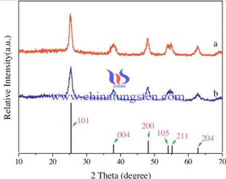 image of XRD patterns of 5 wt% WO3-TiO2