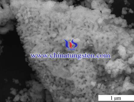 SEM image of Y-doped tungsten powder