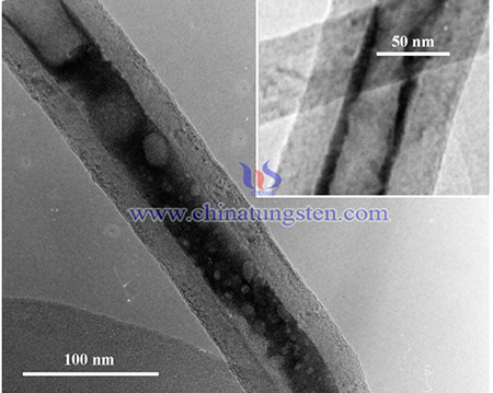 SEM image of carbon nanotubes