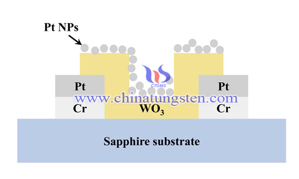 Pt-WO3 传感器截面图像