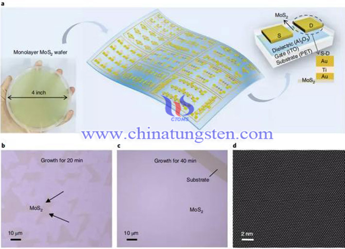 MoS2电子器件让隐形眼镜内嵌显示屏成为可能图片 MoS2电子器件让隐形眼镜内嵌显示屏成为可能图片