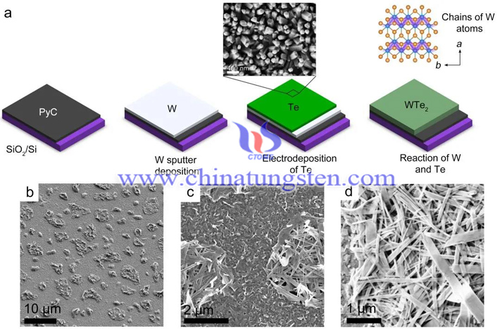 二碲化鎢多晶薄膜生産方法圖片