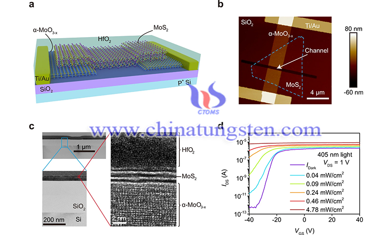 New Ideas for Ultrasensitive Molybdenum-Based Phototransistor