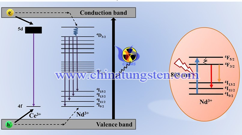 Progress in Rare Earth-Doped Dual-Mode Luminescent Materials